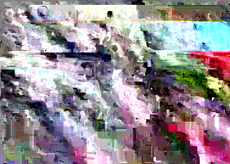 奖项3